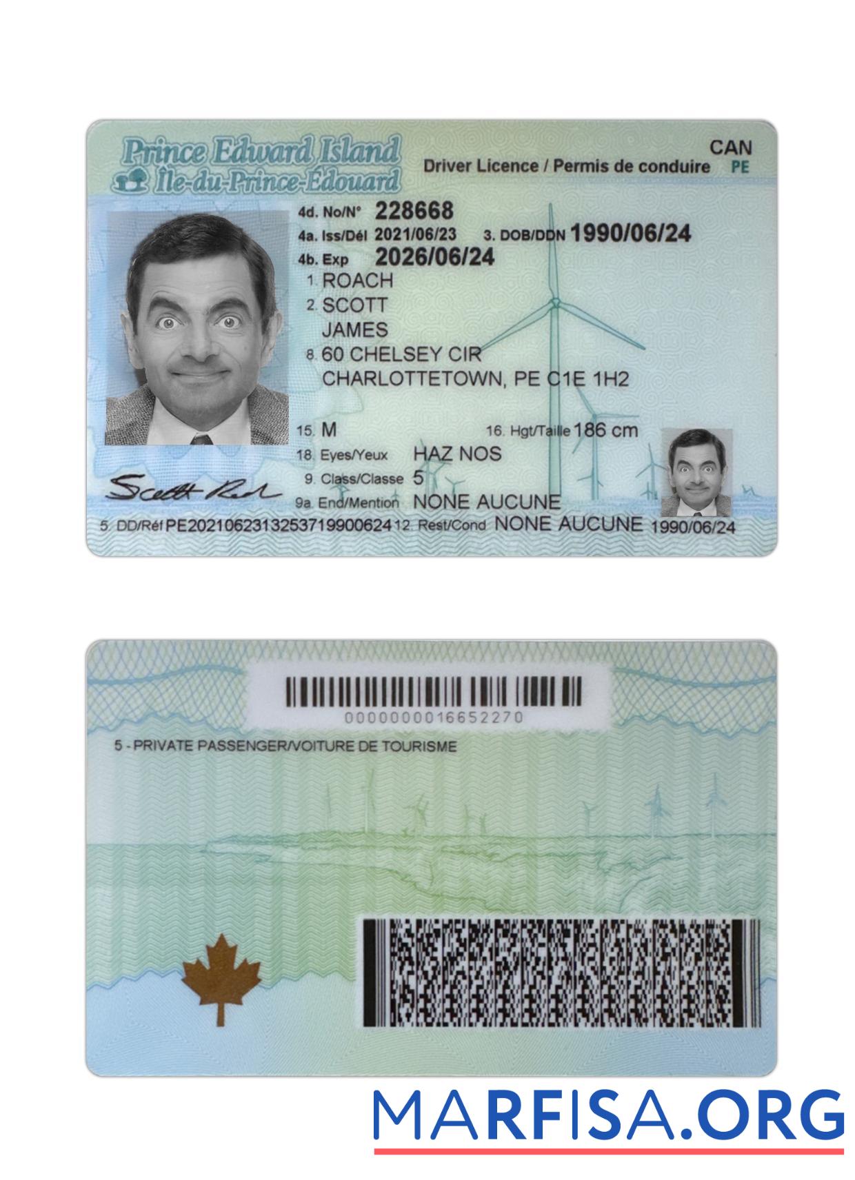 Downloadable Canada Prince Edward Island driving license template